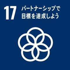 17.パートナシップで目標を達成しよう